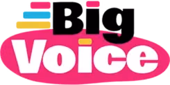 Big Voice – Digital Marketing & Social Media Support
