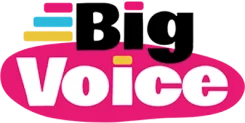 Big Voice – Digital Marketing & Social Media Support