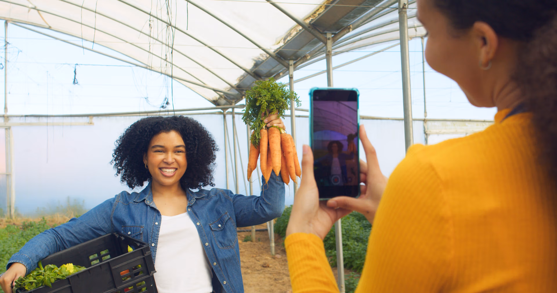 Organic Social Media